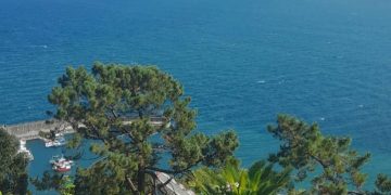 ¿Es feliz o está feliz?