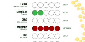 Aumento del nivel de polen en el sur de la Península