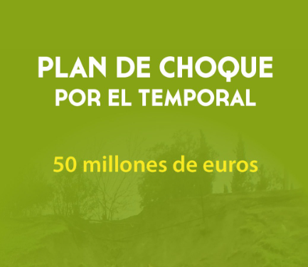 La Diputación de Jaén impulsa un plan de choque de 50 millones para reparar los daños del temporal