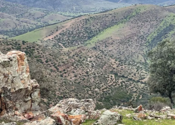 La provincia de Jaén dentro del Proyecto Orión