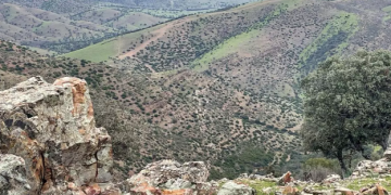 La provincia de Jaén dentro del Proyecto Orión