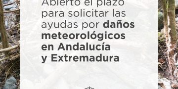 El Gobierno abre el plazo de ayudas para afectados por temporales en Andalucía y Extremadura